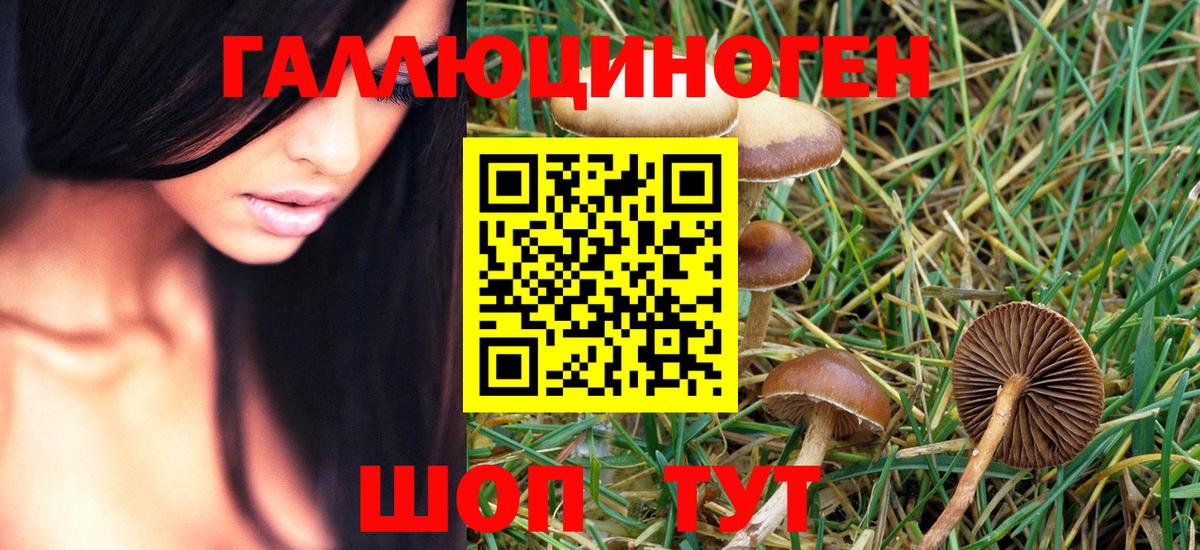 Псилоцибиновые грибы GOLDEN TEACHER Таганрог
