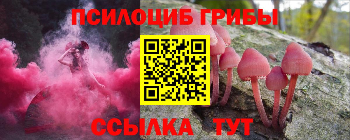 где купить наркоту  Вход с VPN  Таганрог  Псилоцибиновые грибы Psilocybe 